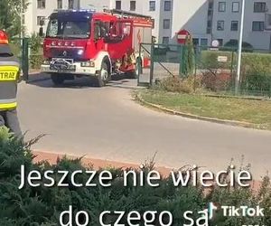 Policja zatrzymała Ukraińca, który odgrażał się za odebranie 800 plus