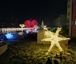 Tak wygląda Zaczarowany Ogród w Bydgoszczy