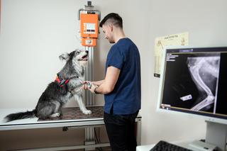 Niesamowite! Drukują ortezy dla psów w drukarkach 4D 