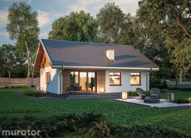 Projekt domu C333j Miarodajny wariant X - wizualizacje, plany, propozycje aranżacji, zdjęcia z budowy