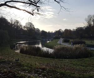 Park Helenów nie doczeka się rewitalizacji. Łódź zrezygnowała z unijnego dofinansowania 