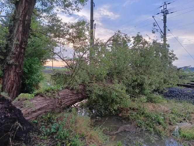 Nawałnice i burze w Świętokrzyskiem. Ponad 200 interwencji strażaków. Droga w Ćmielowie całkowicie zniszczona [ZDJĘCIA].