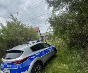 Dziewięć szczeniąt uratowanych. Wspólna akcja policji i schroniska 