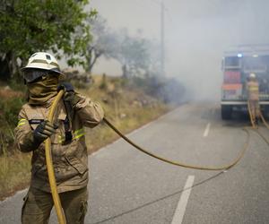  Upały i pożary zabiły tysiąc osób w Europie! Hiszpania i Portugalia płoną