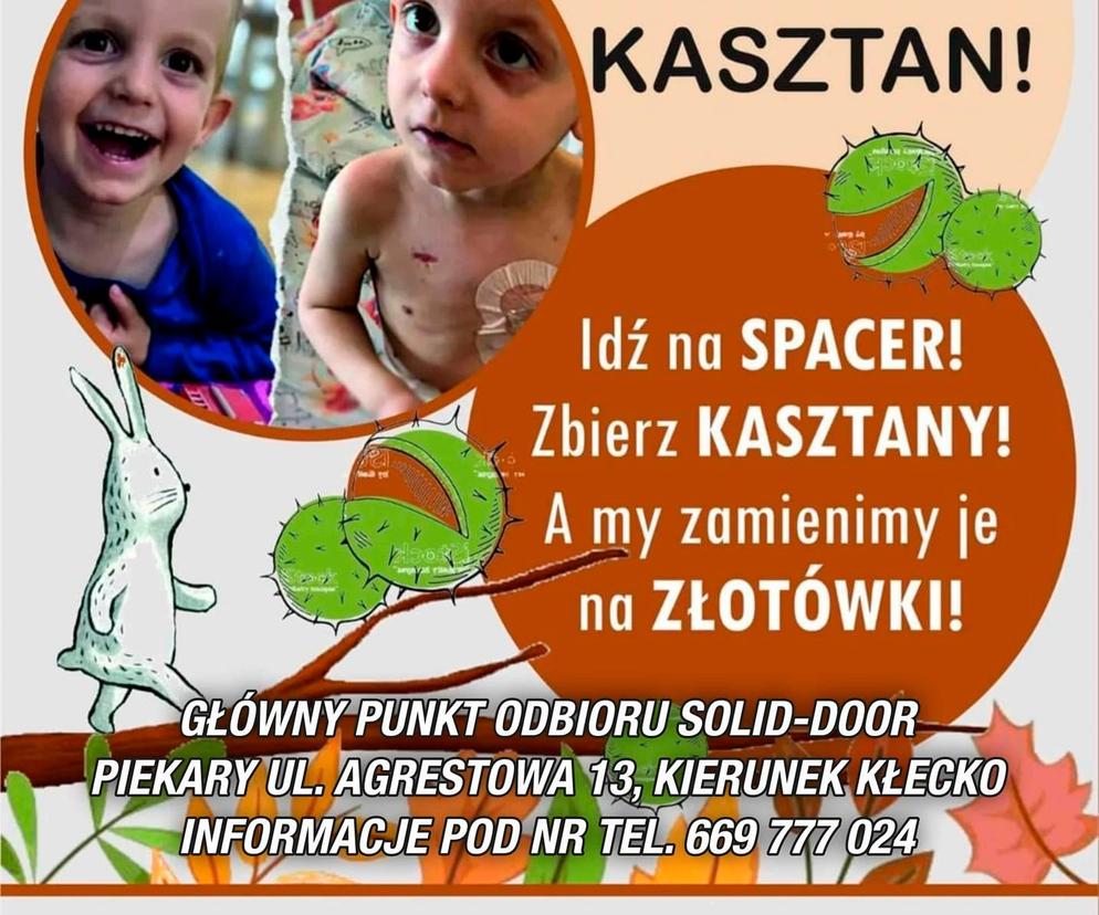 Operacja kasztan