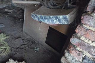 Pies Piter żył w okropnych warunkach