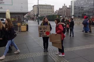 Katowice: Demonstracja w obronie Ziemi [ZDJĘCIA, AUDIO]