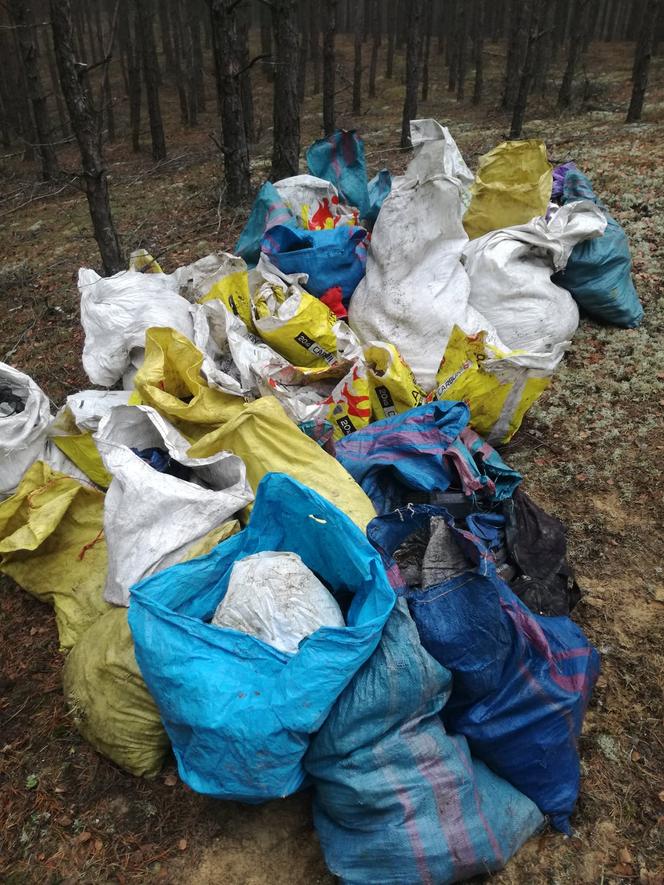Hałda śmieci w wielkopolskim lesie