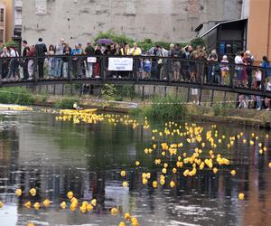 Ster na Bydgoszcz 2023. V Charytatywny Wyścig Kaczek Rotary [ZDJĘCIA]