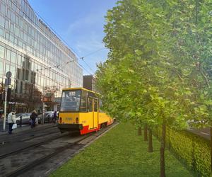 Będzie bardziej zielono ale węziej na Marszałkowskiej. Tramwajarze i drogowcy łączą siły 