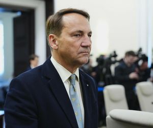 Skandaliczna aukcja w Niemczech. Radosław Sikorski: wszystkie artefakty zniknęły ze strony internetowej