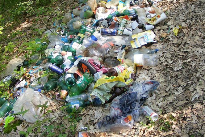 Kilkadziesiąt nielegalnych wysypisk w kujawsko-pomorskiem