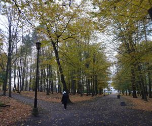 Park Lubomirskich w Białymstoku jesienią 