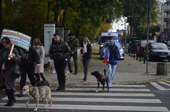 Wielki marsz adopciaków w Radomiu