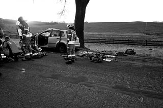 Na prostej zjechał z drogi i uderzył w drzewo