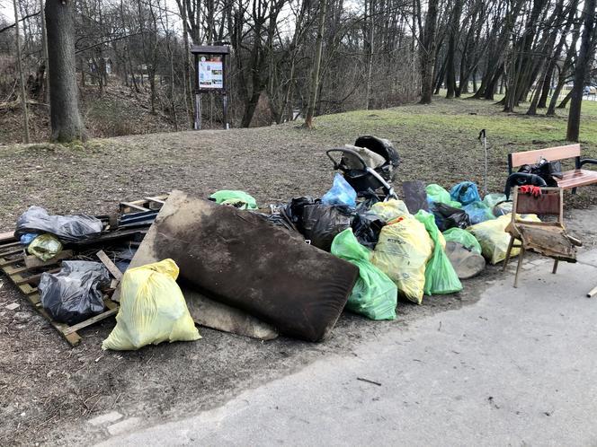 Nowohucianie po raz 7. wysprzątali rzekę Dłubnię i teren wokół Zalewu Nowohuckiego