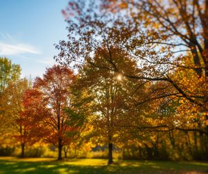 Wszystkich Świętych 2025. IMGW zapowiada pogodową niespodziankę w województwie śląskim?