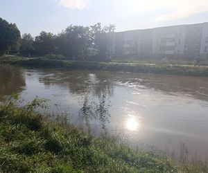 Stan rzeki Ślęza cały czas się podnosi. Przekroczono już stan alarmowy. Jak wygląda sytuacja?