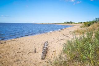Ujście Wisły i Mewia Łacha - puste plaże i foki. Co tu zwiedzić? Jak zobaczyć foki? Wędrowne Motyle podpowiadają
