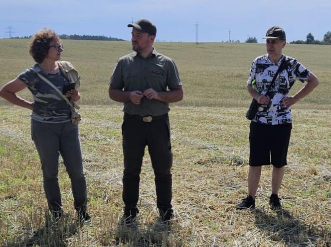 Akcja na polu, gdzie znaleziono Wampirkę z Pnia. Młodzi chodzili z detektorami, niedługo wracają tam archeolodzy