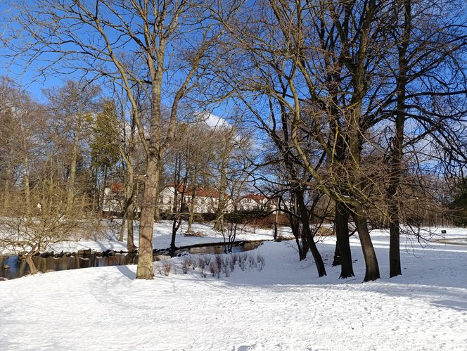 Park Oliwski. Palmiarnia i Pałac Opatów. Za darmo w Gdańsku