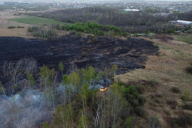 Pożar traw w krakowskiej dzielnicy Dębniki