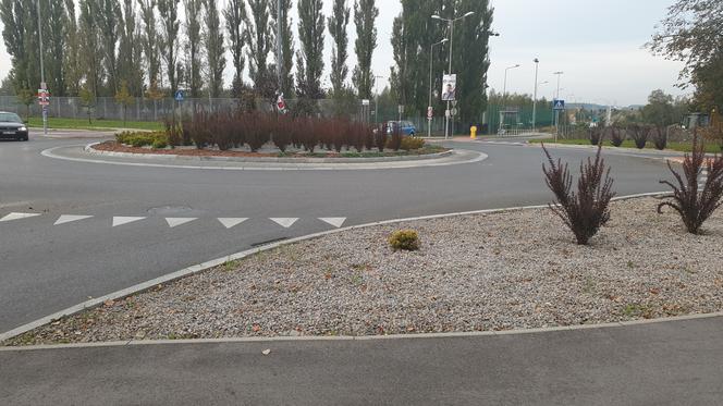 Drugie rondo holenderskie w Jaworznie