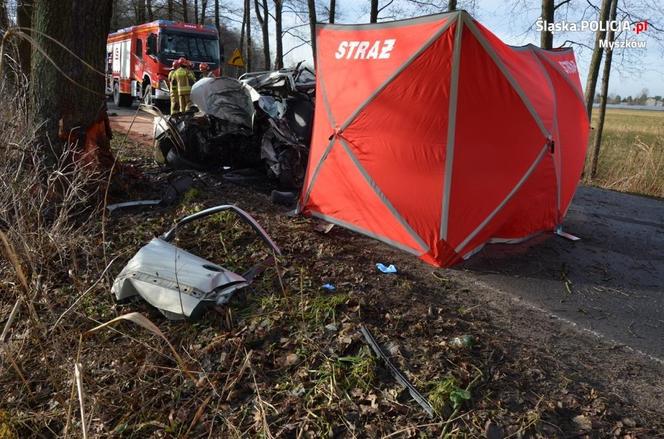  Makabra na Śląsku. 34-latek huknął w drzewo, z auta została miazga. Mężczyzna nie żyje