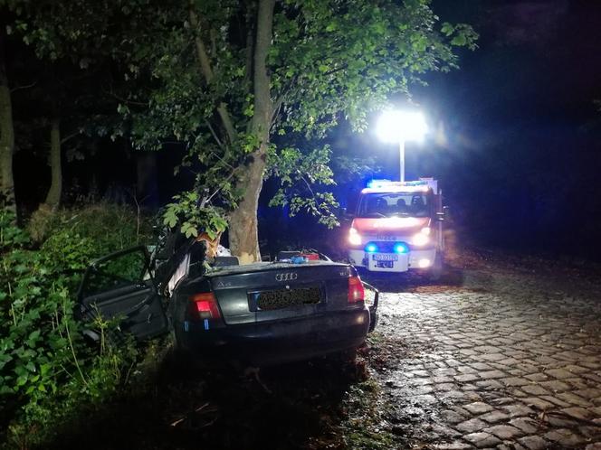 Tragiczny wypadek pod Braniewem. Audi wbiło się w drzewo. Nie żyje 19-latek [ZDJĘCIA]