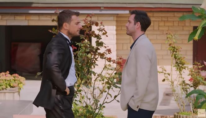 Miłość i nadzieja odc. 274. Kuzey, Levent