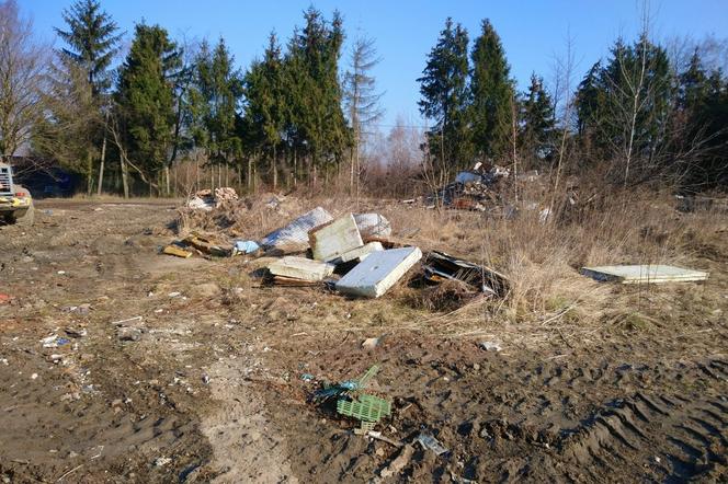 W Poznaniu jest coraz więcej dzikich wysypisk śmieci