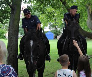 Piknik z okazji Święta Policji w Poznaniu 