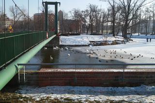 Mrozy nadchodzą nad Polskę. Jak będzie we Wrocławiu? [PROGNOZA POGODY]