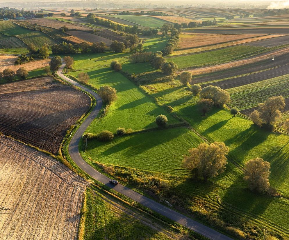 Darmowe wycieczki w Świętokrzyskiem. Ponidzie 