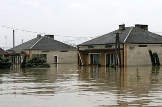 	Powódź, podkarpacie - powiat tarnobrzeski, Sokolniki, Trześń