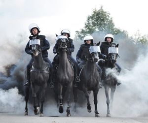 Policyjne konie zdały egzamin!