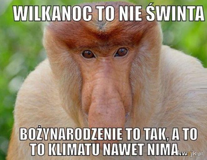 memy wielkanoc