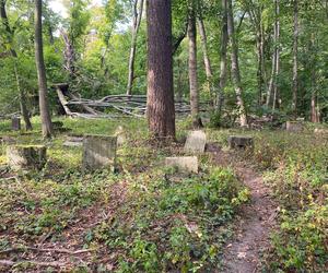 Tak wygląda opuszczony cmentarz w Łagowie, w woj. lubuskim