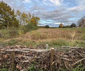 Serenity Park w Mysłowicach to nowe miejsce wypoczynku na Śląsku