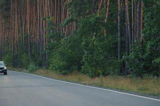 	M jak miłość, odc. 1754. Samochód Artura Rogowskiego (Robert Moskwa)