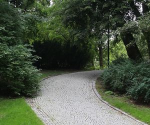 Ogród Saski w Lublinie w wakacyjny poranek 2025