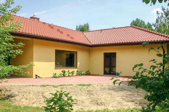 Ogród przy tarasie nasłonecznionym