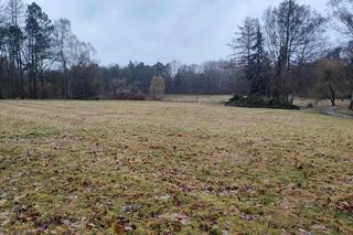 Festiwal Audioriver 2024. Co sądzą o nim łodzianie? Sprawdź, gdzie staną sceny [GALERIA]