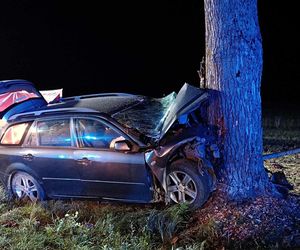 Wola Wodyńska: Tragedia na drodze, 66-latek zginął w wypadku!