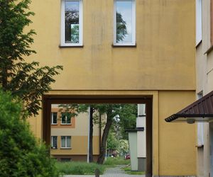 Uwolnią więźniów czwartego piętra: zmiany w przepisach zaczną obowiązywać już od 2026 roku. Ich liczba stale będzie rosnąć