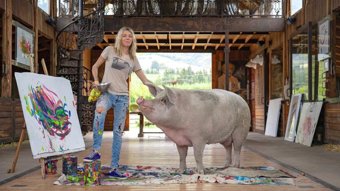Pigcasso: świnka-malarka sprzedała swój obraz, by pomóc zwierzętom na Ukrainie!