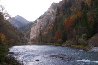 To najpiękniejsza rzeka w Małopolsce według AI. Przepływa przez popularne uzdrowisko