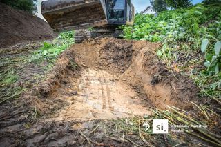 Walka z rdestowcem na budowie Trasy Północnej