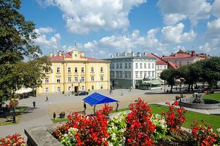 Koci celebryta z Przemyśla. Poznajcie kota Cząbra!