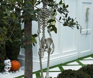 Małgorzata Rozenek-Majdan